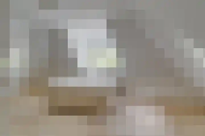 Van der Helstlaan 4 Huis ter Heide thumbnail 28