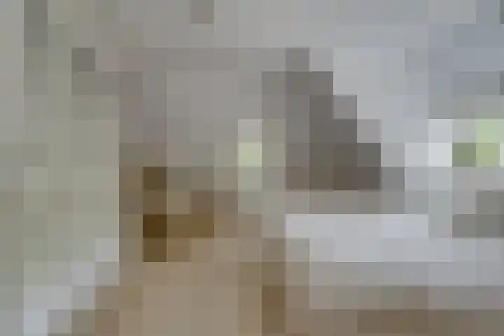 Van der Helstlaan 4 Huis ter Heide thumbnail 29