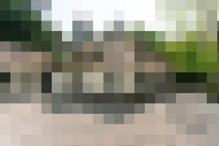 Van der Helstlaan 4 Huis ter Heide foto 3