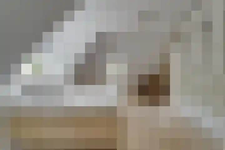 Van der Helstlaan 4 Huis ter Heide thumbnail 30