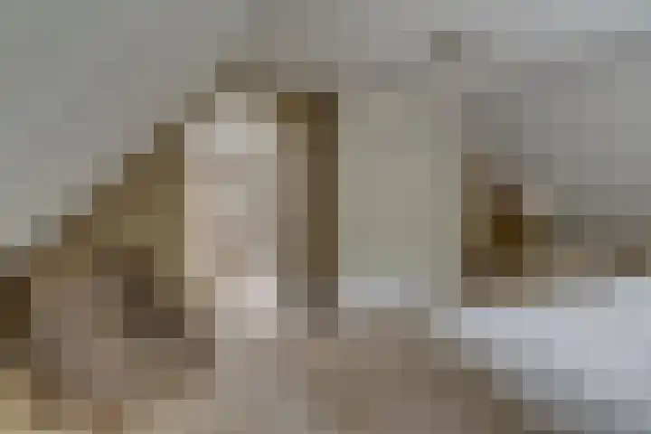 Van der Helstlaan 4 Huis ter Heide thumbnail 31