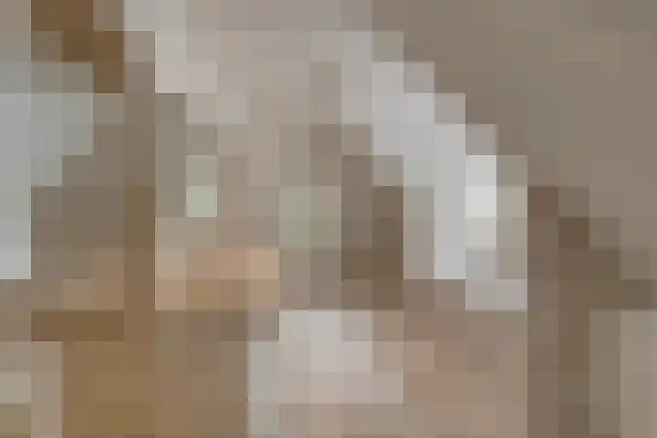 Van der Helstlaan 4 Huis ter Heide thumbnail 34