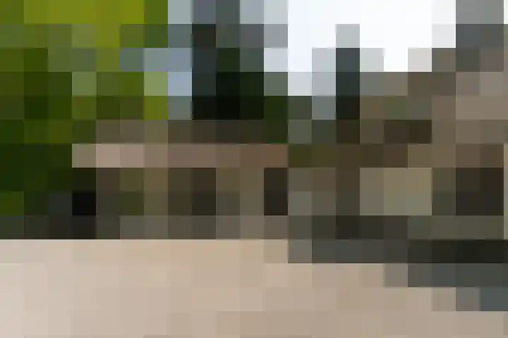 Van der Helstlaan 4 Huis ter Heide thumbnail 38