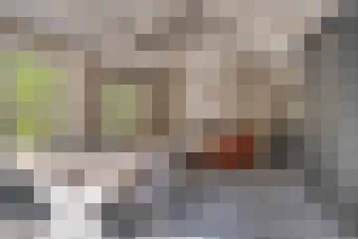 Van der Helstlaan 4 Huis ter Heide thumbnail 39