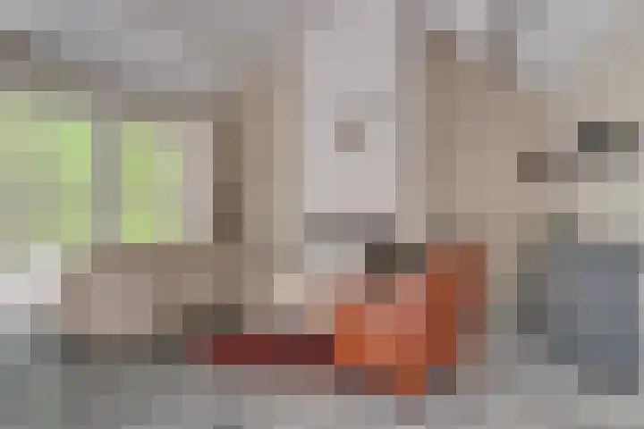 Van der Helstlaan 4 Huis ter Heide thumbnail 40