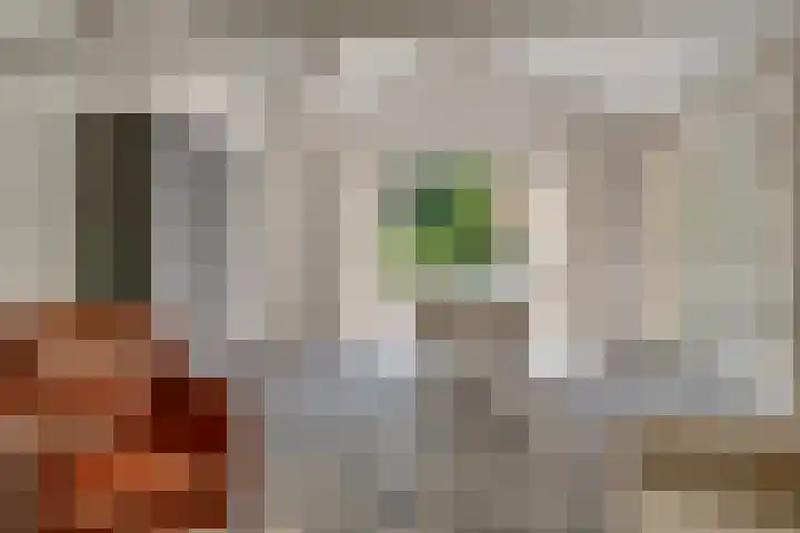Van der Helstlaan 4 Huis ter Heide thumbnail 41