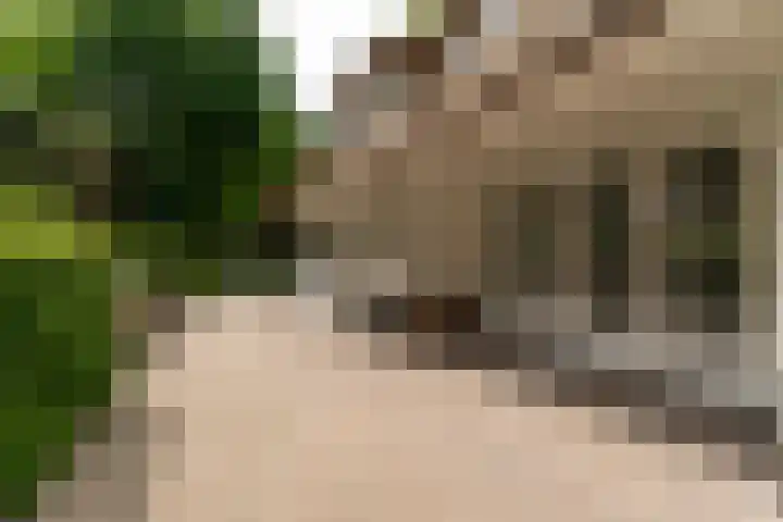 Van der Helstlaan 4 Huis ter Heide thumbnail 49