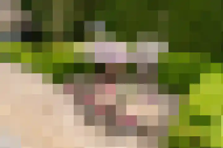 Van der Helstlaan 4 Huis ter Heide thumbnail 50