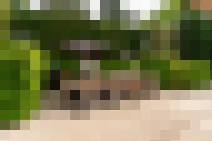 Van der Helstlaan 4 Huis ter Heide thumbnail 51