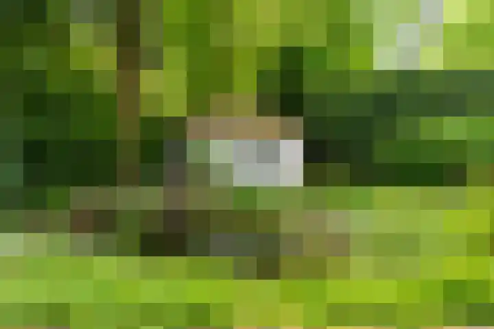 Van der Helstlaan 4 Huis ter Heide thumbnail 53