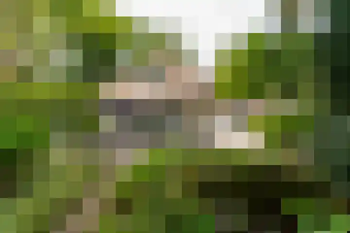 Van der Helstlaan 4 Huis ter Heide thumbnail 54