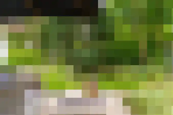 Van der Helstlaan 4 Huis ter Heide thumbnail 55