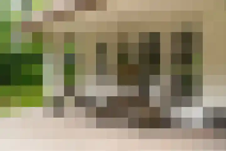 Van der Helstlaan 4 Huis ter Heide thumbnail 56