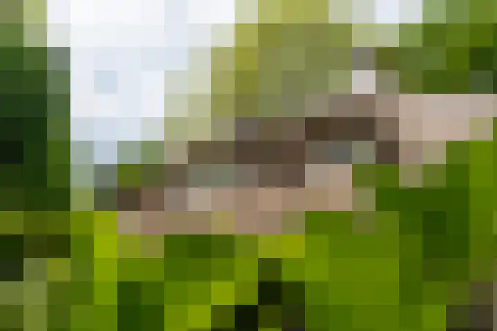 Van der Helstlaan 4 Huis ter Heide thumbnail 57
