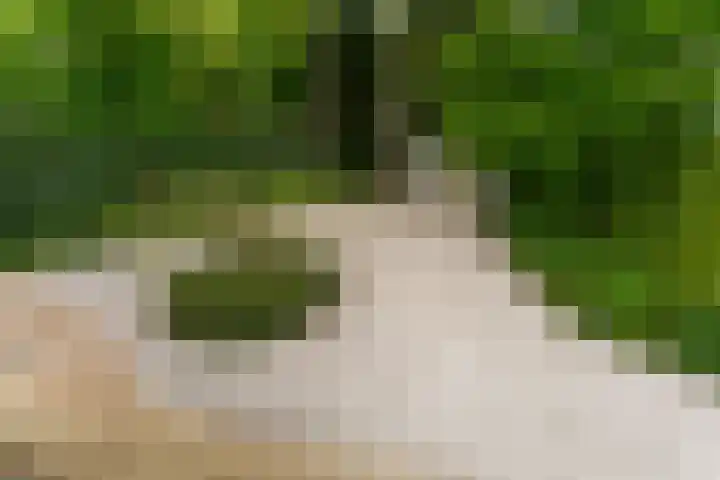 Van der Helstlaan 4 Huis ter Heide thumbnail 58