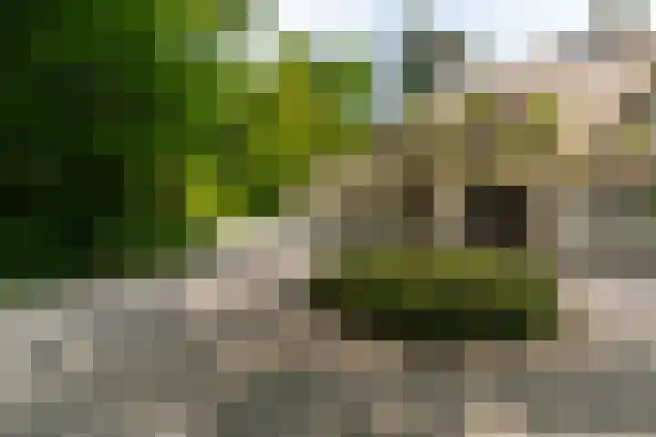 Van der Helstlaan 4 Huis ter Heide thumbnail 59