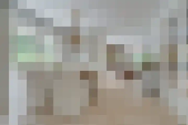 Van der Helstlaan 4 Huis ter Heide thumbnail 6