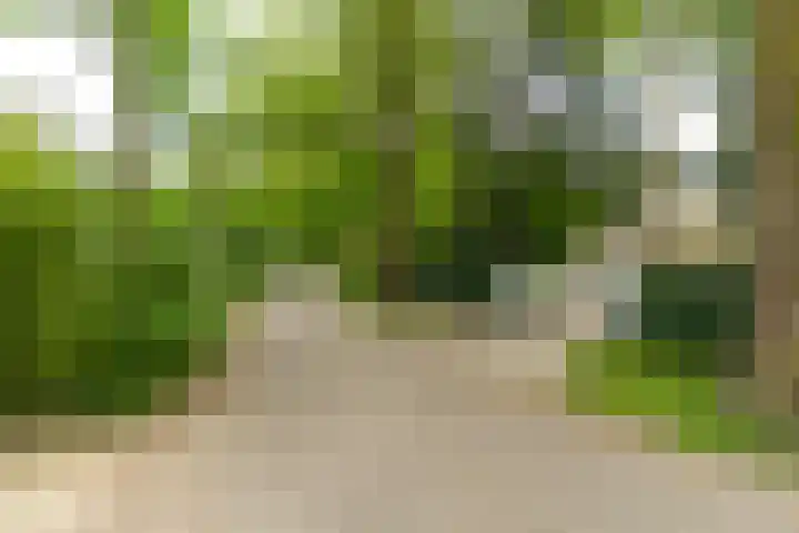 Van der Helstlaan 4 Huis ter Heide thumbnail 60