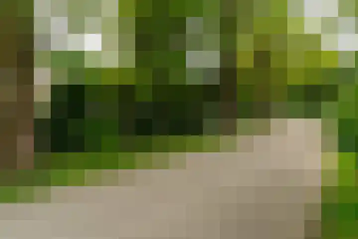 Van der Helstlaan 4 Huis ter Heide thumbnail 61