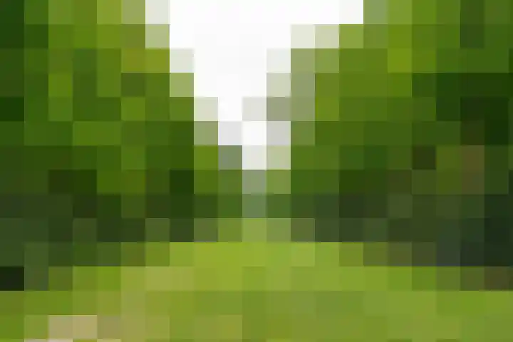 Van der Helstlaan 4 Huis ter Heide thumbnail 62
