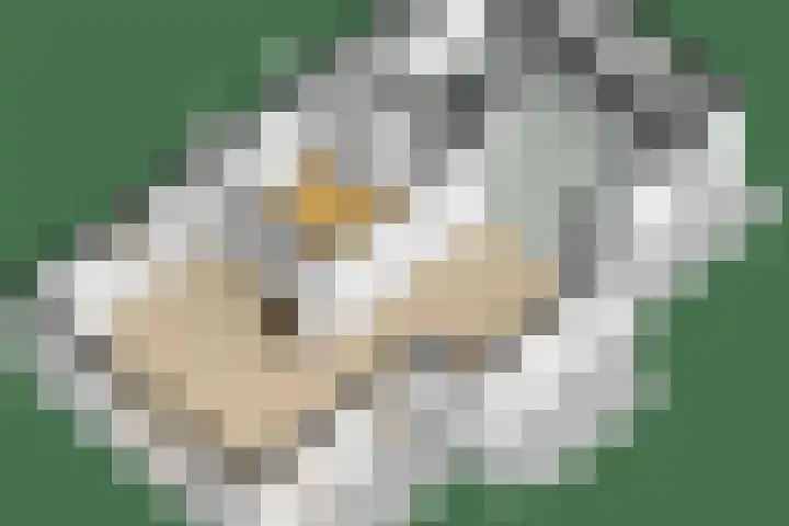 Van der Helstlaan 4 Huis ter Heide thumbnail 70