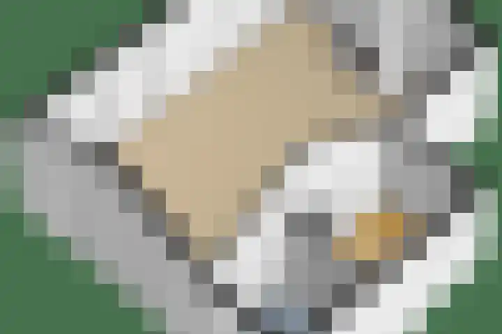 Van der Helstlaan 4 Huis ter Heide thumbnail 72