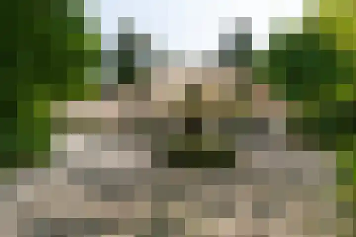 Van der Helstlaan 4 Huis ter Heide thumbnail 75