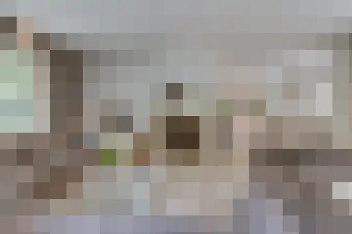 Van der Helstlaan 4 Huis ter Heide thumbnail 9