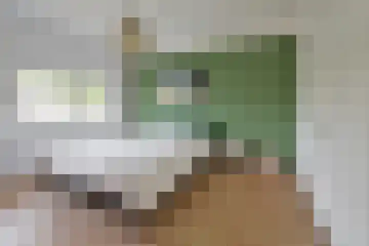 van der Helstlaan 48 Naarden thumbnail 14