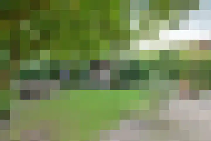 van der Helstlaan 48 Naarden thumbnail 24