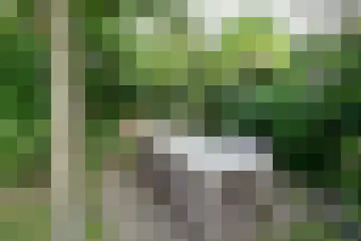 van der Helstlaan 48 Naarden thumbnail 25
