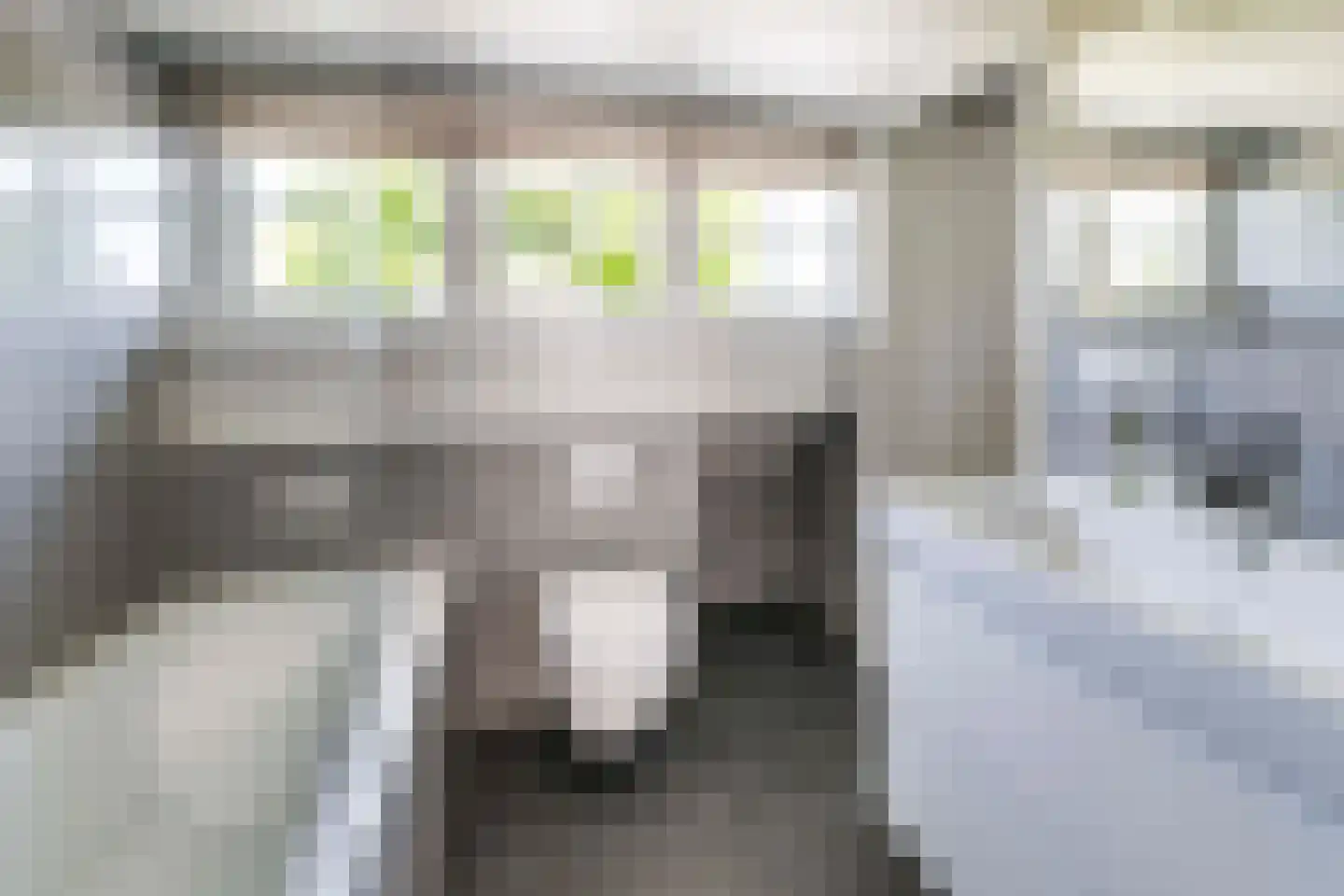 van der Helstlaan 57 Naarden thumbnail 25