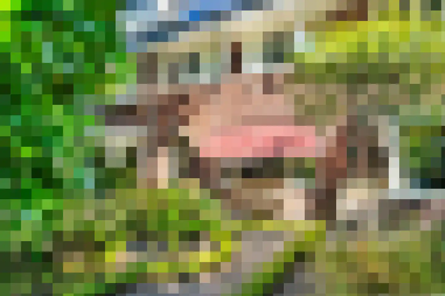 van der Helstlaan 57 Naarden thumbnail 30