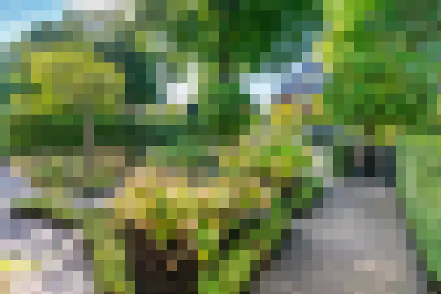 van der Helstlaan 57 Naarden thumbnail 31