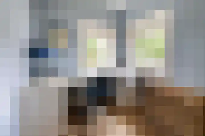 van der Helstlaan 59 Naarden thumbnail 18