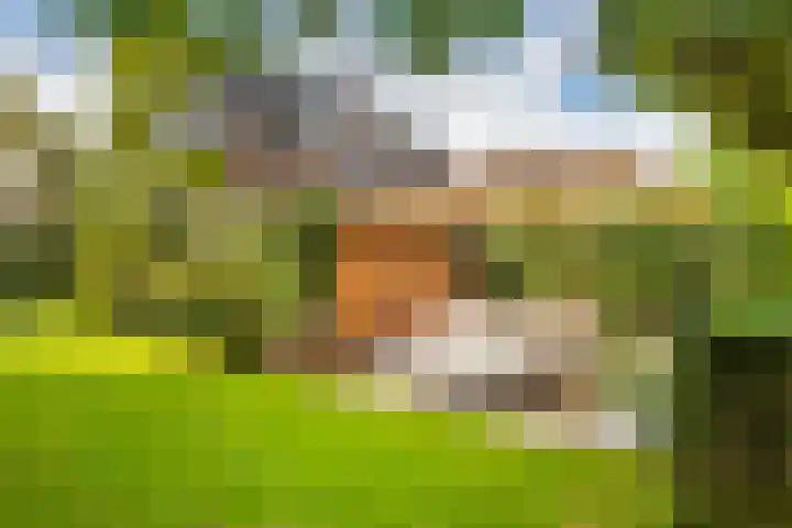 van der Helstlaan 59 Naarden thumbnail 27