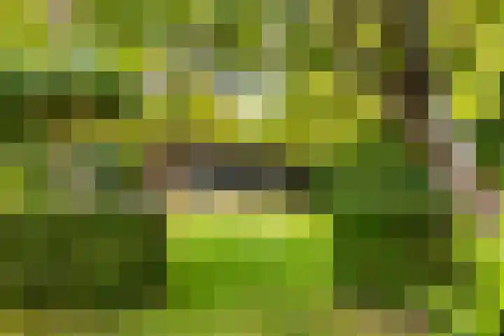 van der Helstlaan 59 Naarden thumbnail 28