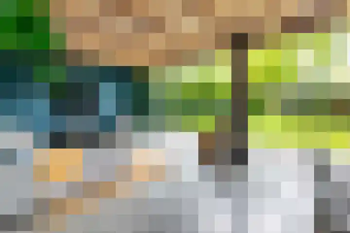 van der Helstlaan 59 Naarden thumbnail 31
