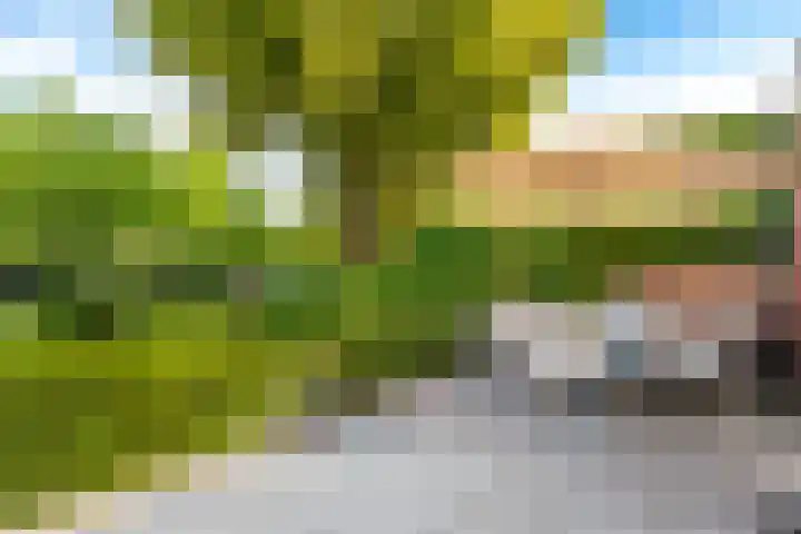 van der Helstlaan 59 Naarden thumbnail 32