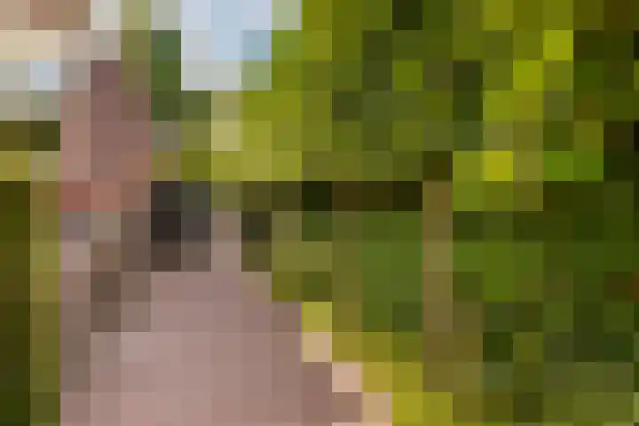 van der Helstlaan 59 Naarden thumbnail 33