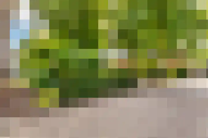 van der Helstlaan 59 Naarden thumbnail 34
