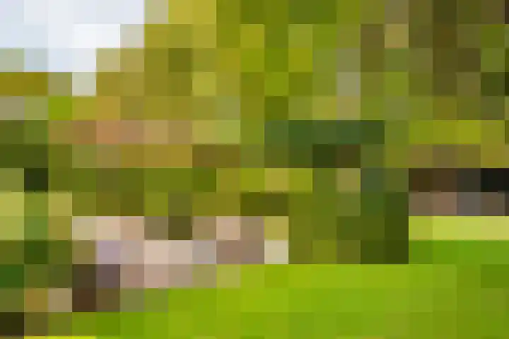 van der Helstlaan 59 Naarden thumbnail 5