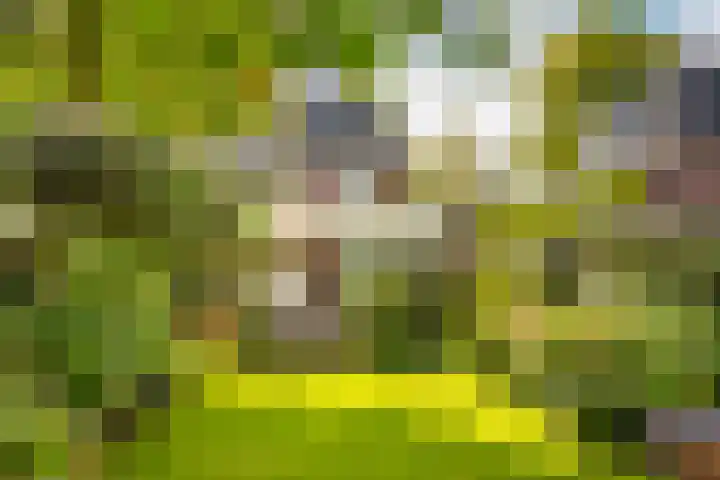 van der Helstlaan 59 Naarden thumbnail 8