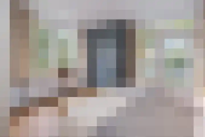 van der Helstlaan 87 Naarden thumbnail 19