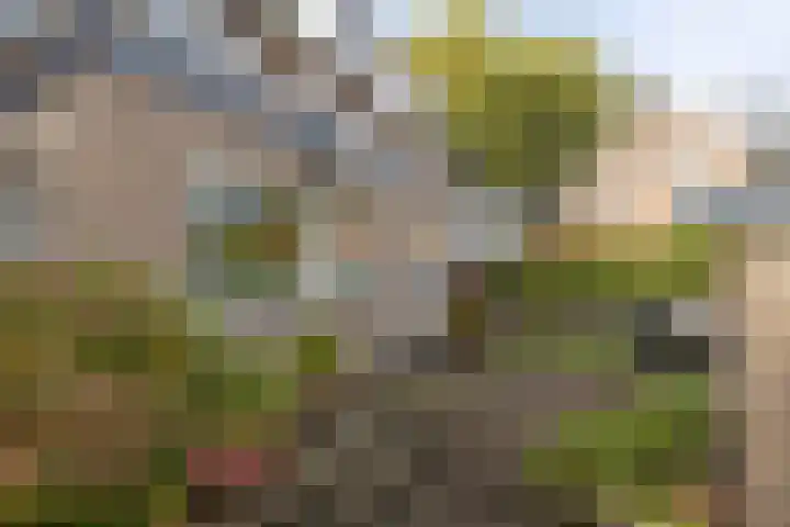 van der Helstlaan 87 Naarden thumbnail 40