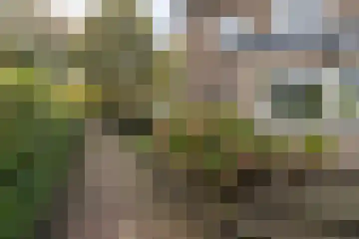 van der Helstlaan 87 Naarden thumbnail 42