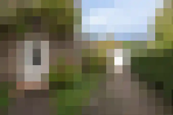 van der Helstlaan 87 Naarden thumbnail 43