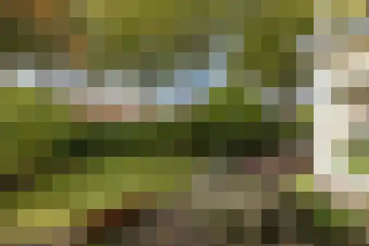 van der Helstlaan 87 Naarden thumbnail 44