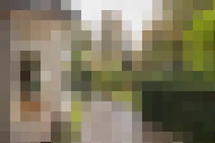 van der Helstlaan 87 Naarden thumbnail 45