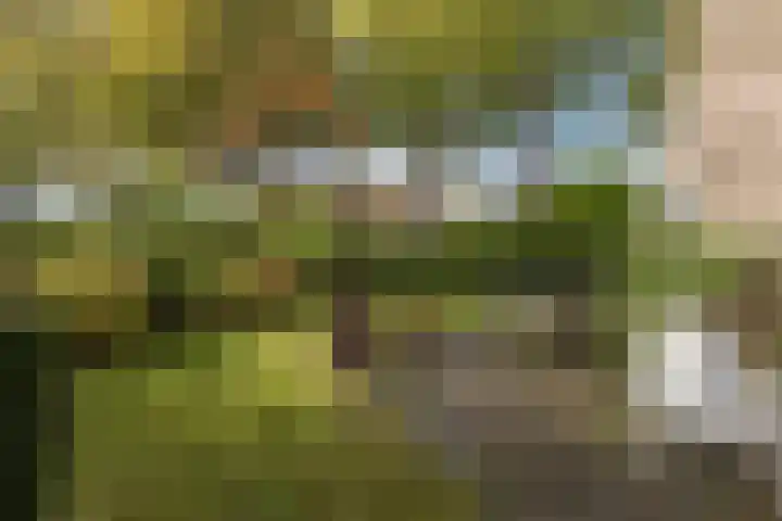 van der Helstlaan 87 Naarden thumbnail 46